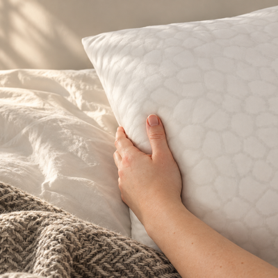 Haven Comfort